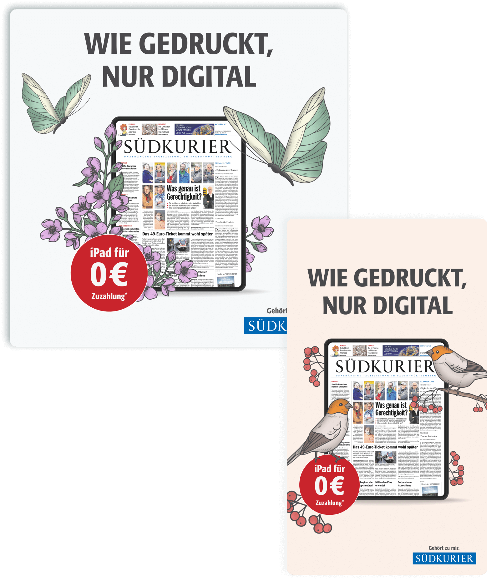 Custom illustration ad design in square and story format for SÜDKURIERs Spring Bundle campaign, highlighting vibrant spring themes and promotional messaging.